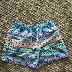 Chubbies Men’s Swim Trunks